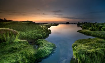 In Conversation: Sebastiaan Bredenbeek & Elke Schreur on ESG and the Changing Risk Landscape