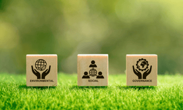 Decoding the Alphabet Soup of ESG Standards & Frameworks