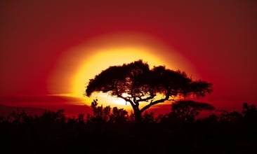 Case Study: From Climate Scenarios to Supervisory Capability