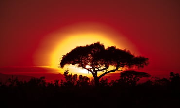 Case Study: From Climate Scenarios to Supervisory Capability