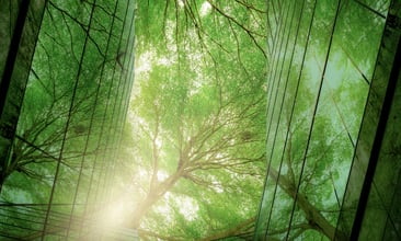 Case Study: Developing a Climate Transition Risk Framework for a European Bank