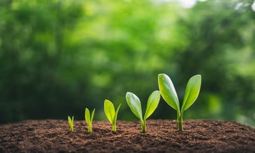 Creating value through strategic ESG