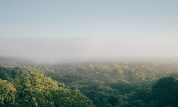 Traversing the EU Climate Regulation Jungle