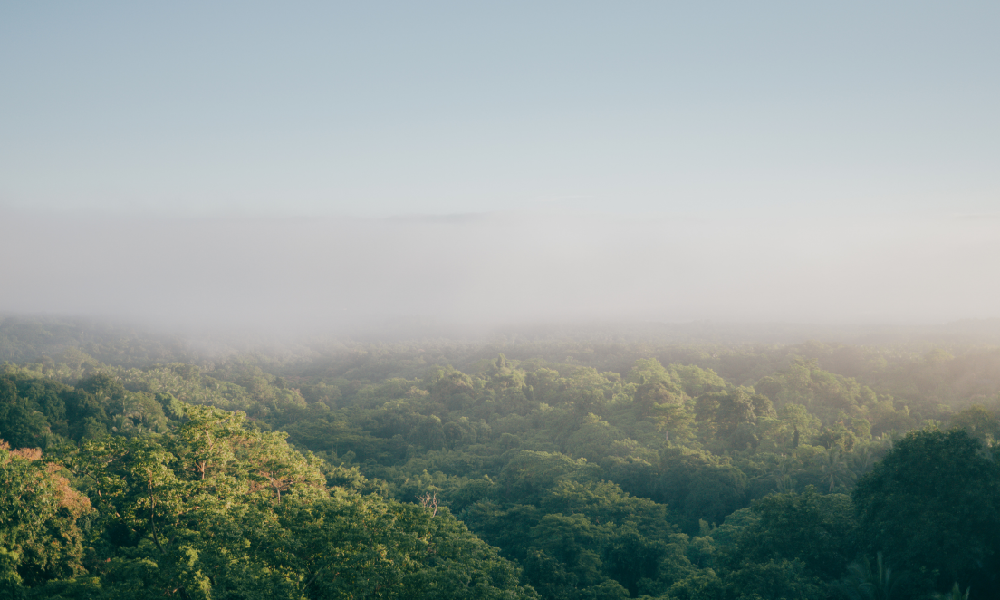  EU Climate Regulation Jungle article RiskSphere 