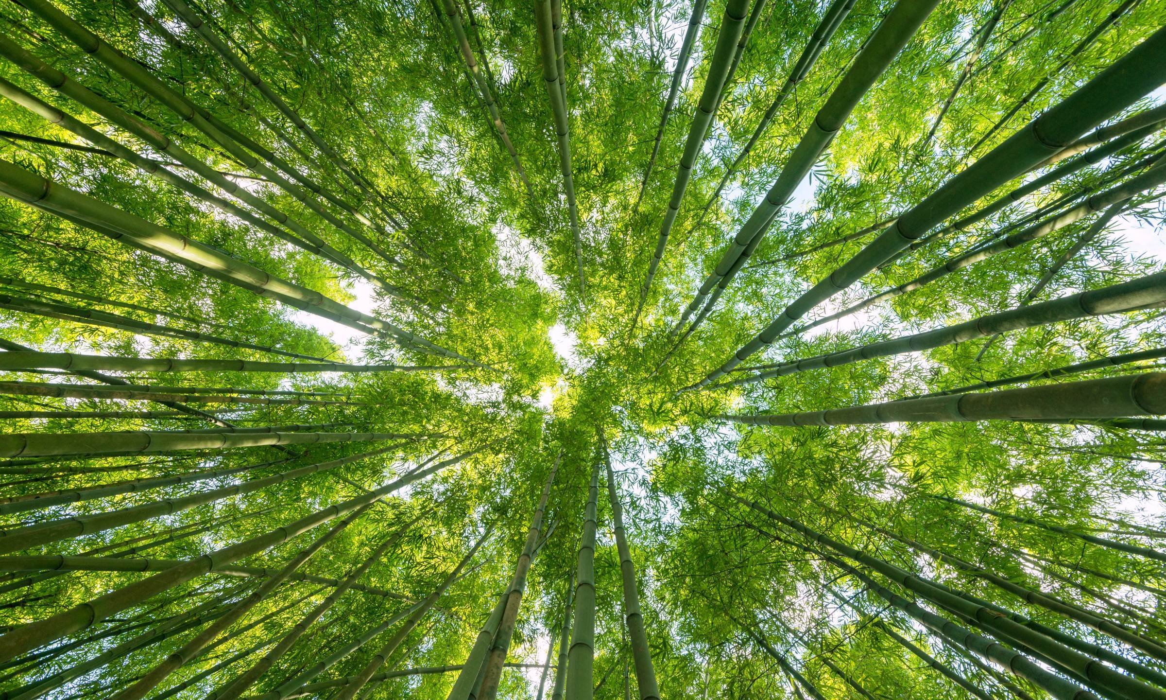  Strengthening Financial Resilience Macroprudential Policy - RiskSphere 