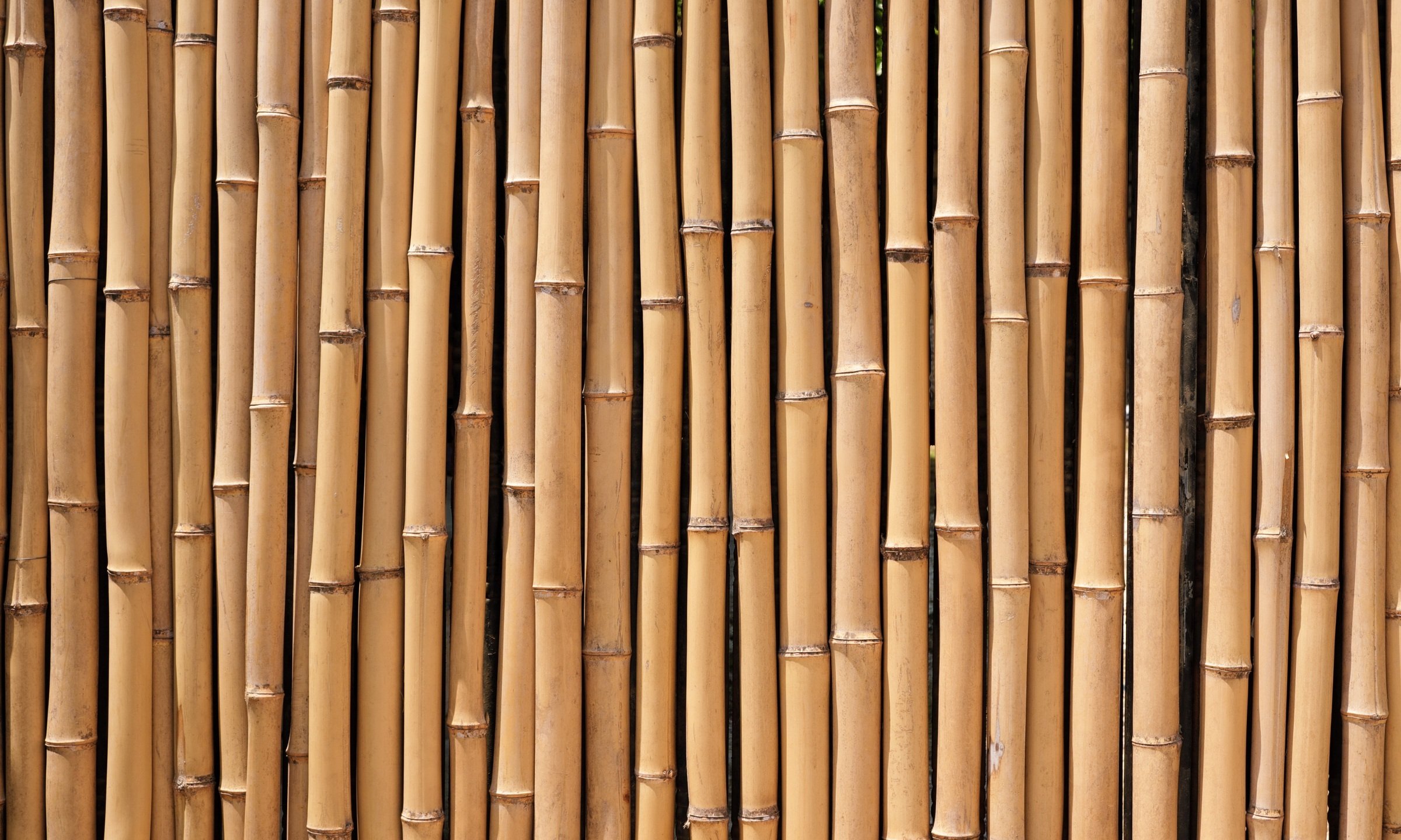  The Corporate Sustainability Due Diligence Directive - RiskSphere 
