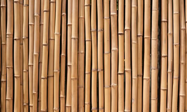 The Corporate Sustainability Due Diligence Directive: accountability and opportunity are knocking!