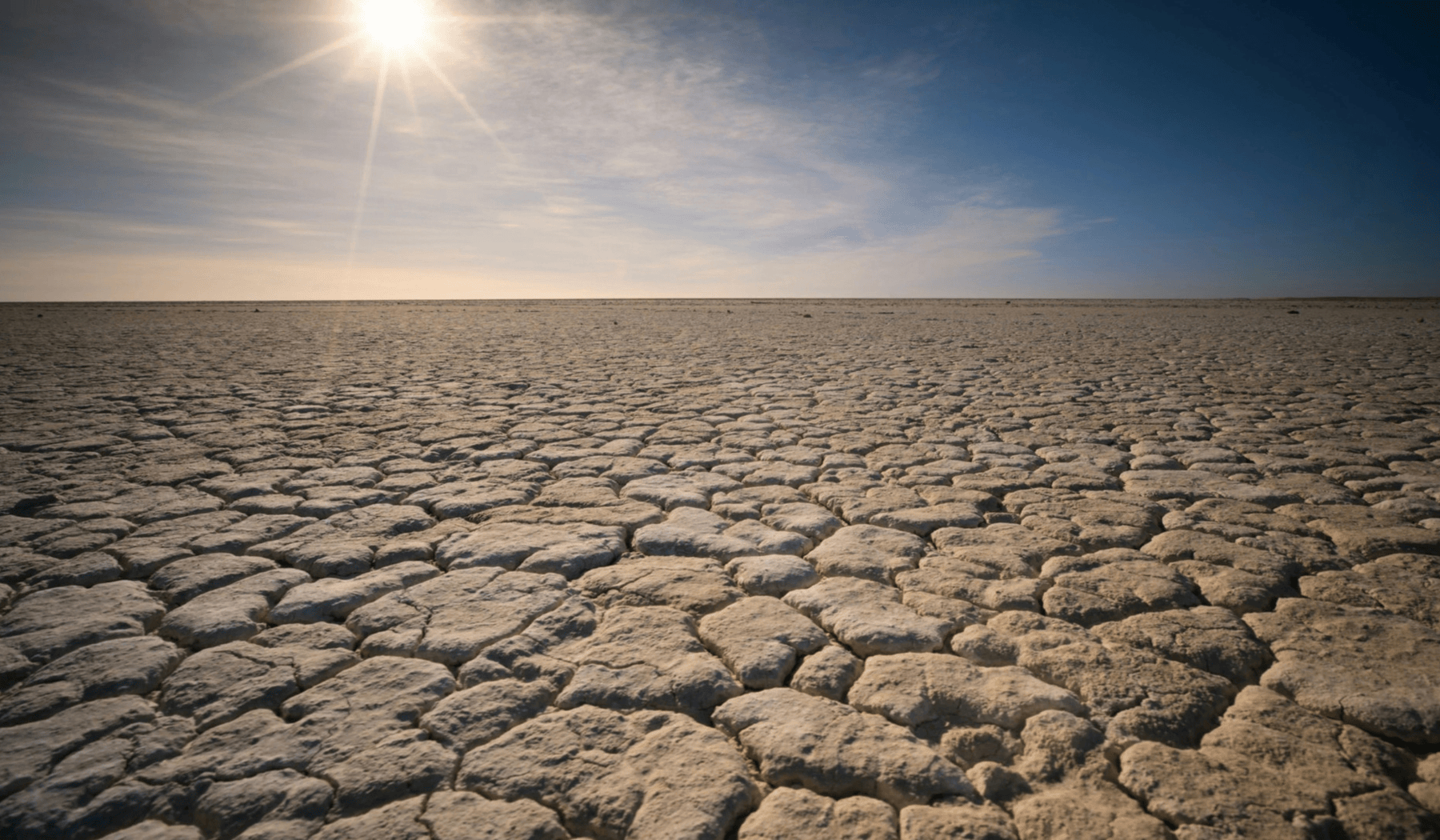  Farmland patchwork cracked earth drought 