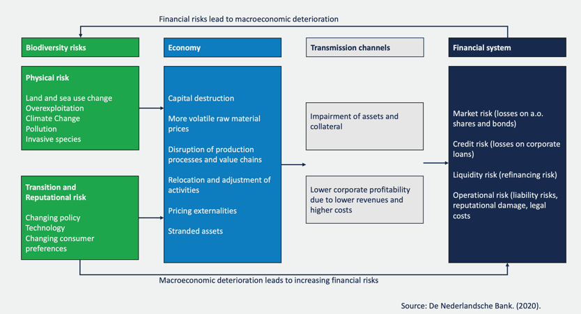 financial-risks-lead-to-macroeconomic-deterioration
