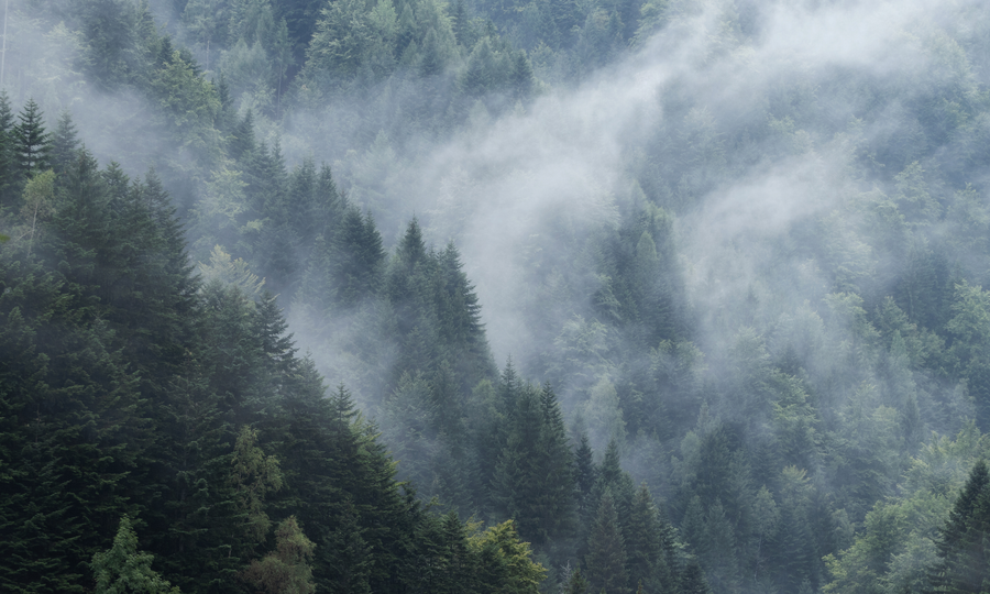 Climate Risk Mitigation - RiskSphere