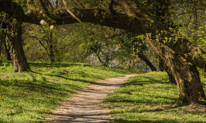 Restructuring and Turnaround - RiskSphere